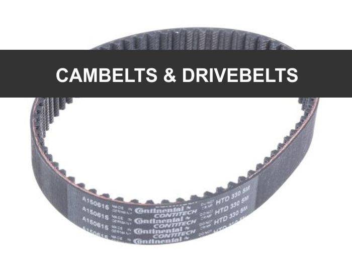 CAMBELTS & DRIVEBELTS